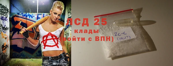 стафф Новодвинск