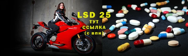 спиды Новозыбков