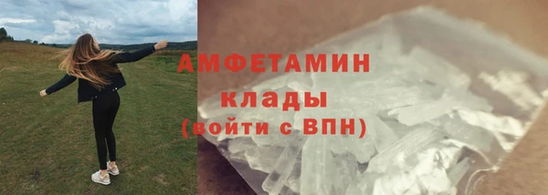 прущие грибы Армянск