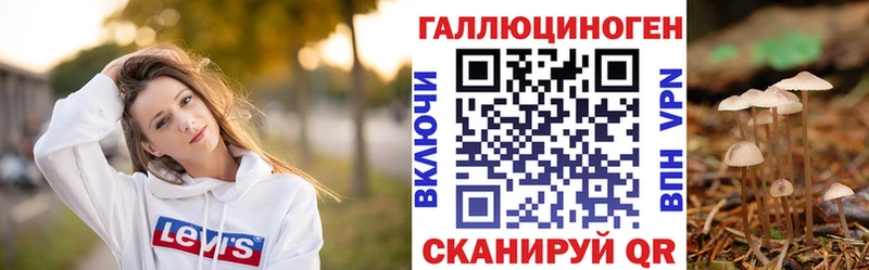 Галлюциногенные грибы Psilocybe  купить наркотик  Ставрополь 