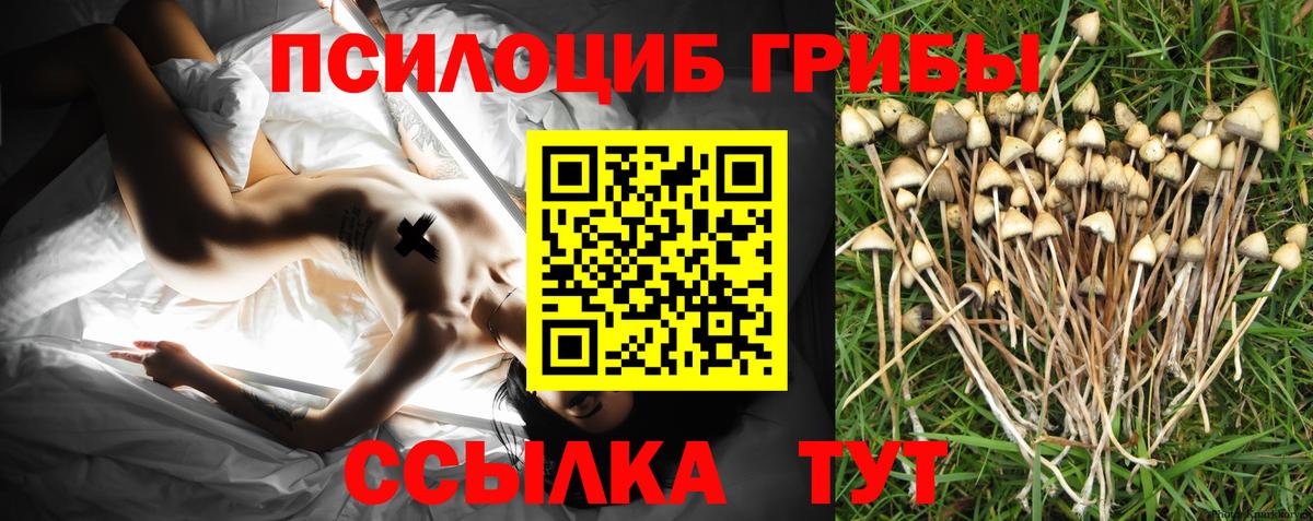 Псилоцибиновые грибы Psilocybe  Галлюциногенные грибы Psilocybine cubensis  Вход с VPN  Ставрополь 